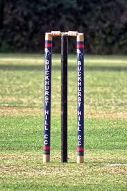 what is stumps in cricket