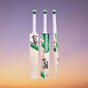 which is the expensive Cricket bat?